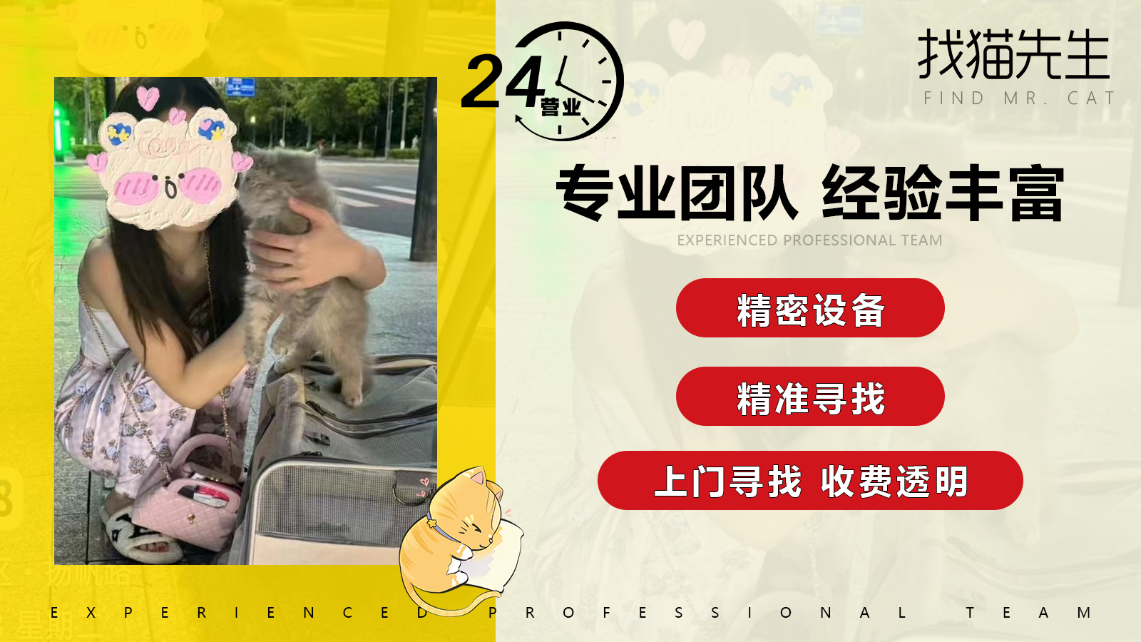 寻猫服务