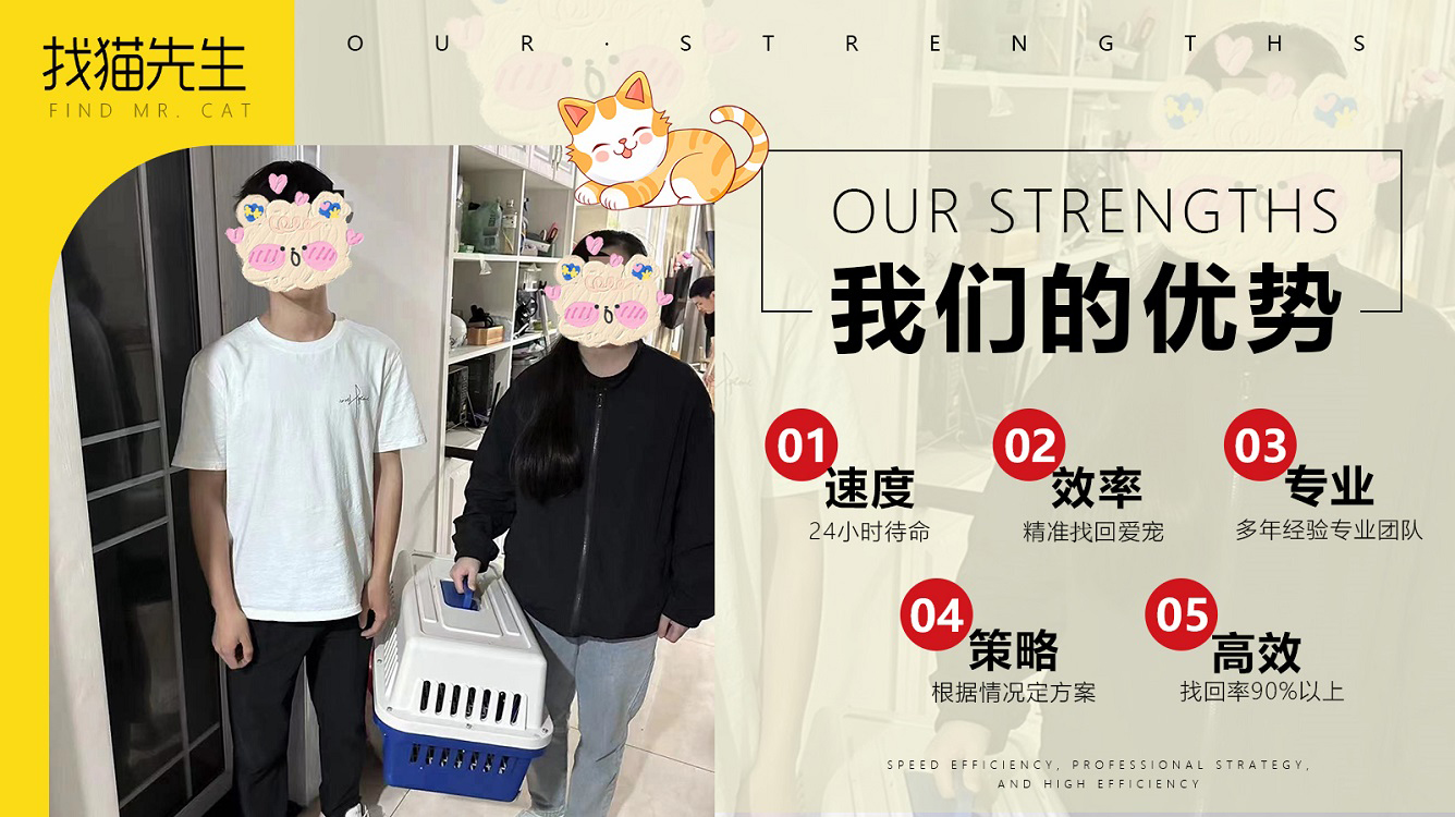寻猫服务
